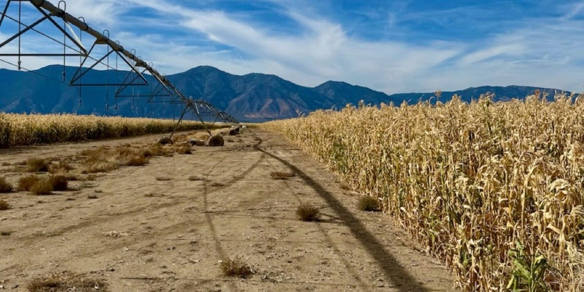 Minden Mill Distilling: Terroir-Driven Nevada Spirits